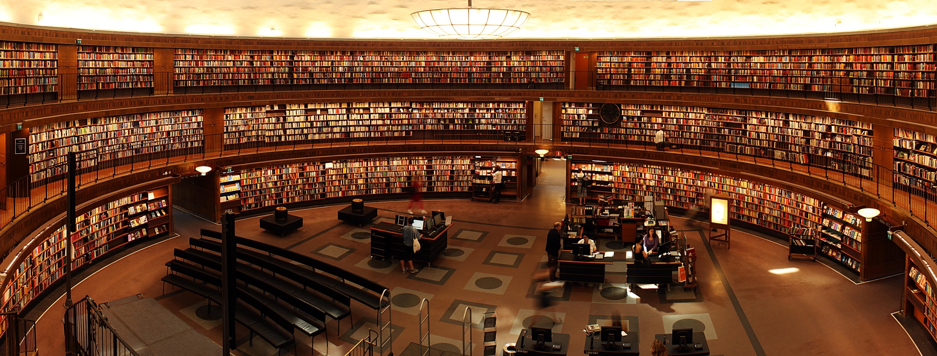 Ein besonderer Moment: Mein Buch steht in der Universitätsbibliothek Zürich.